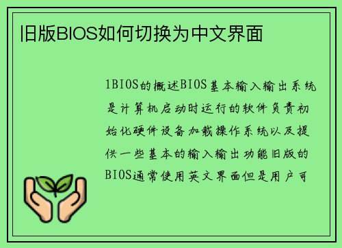 旧版BIOS如何切换为中文界面
